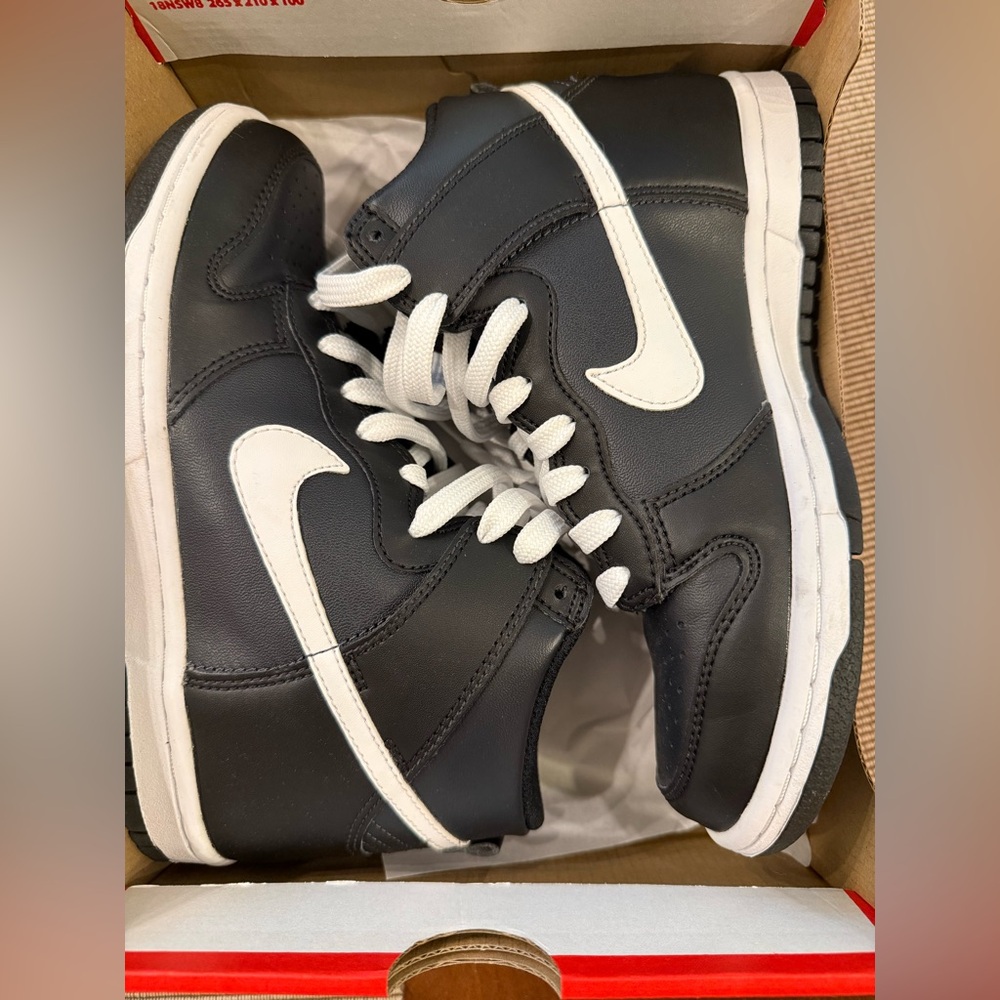 Nike Dunk High Top